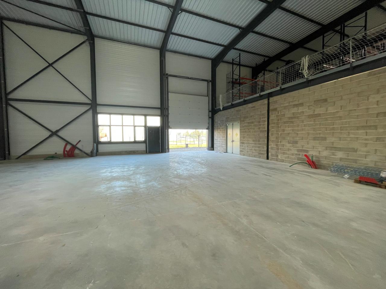 Local d'activité Entzheim 600m² Location local d'activité Entzheim Bas-Rhin OLACT2531539 7